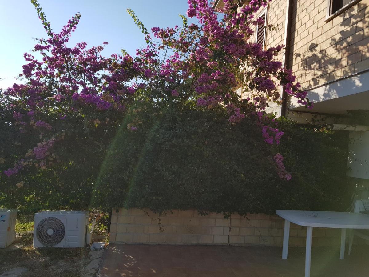 Appartamento La Culla del Conte Bucchianico Esterno foto